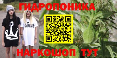 шишки Ижевск