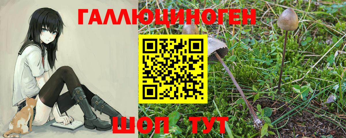 Псилоцибиновые грибы прущие грибы  Вход с VPN  Галлюциногенные грибы Psilocybine cubensis  Вятские Поляны 