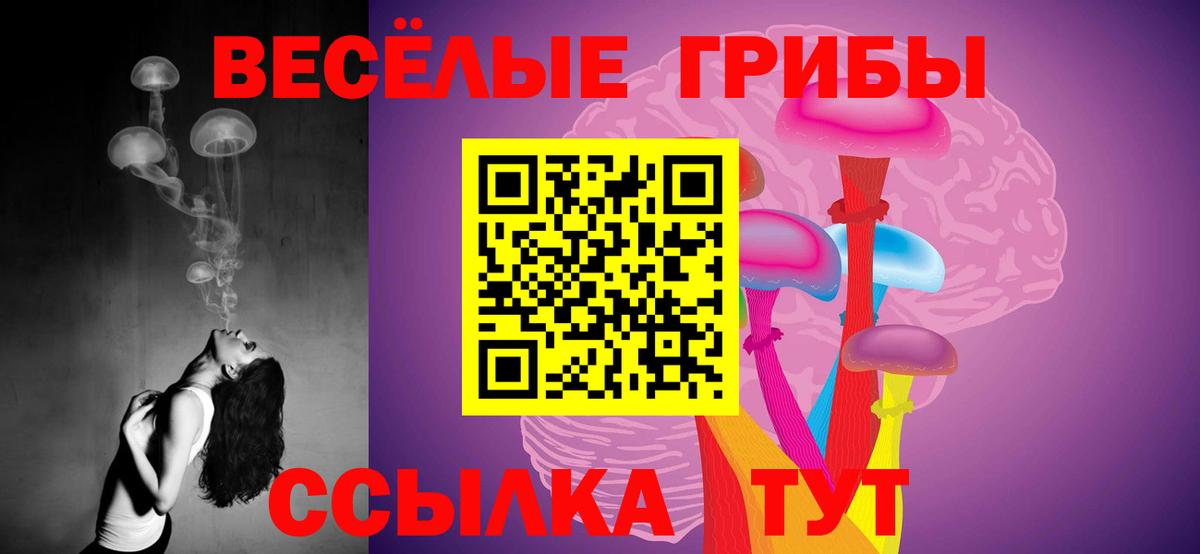 Галлюциногенные грибы GOLDEN TEACHER Вятские Поляны